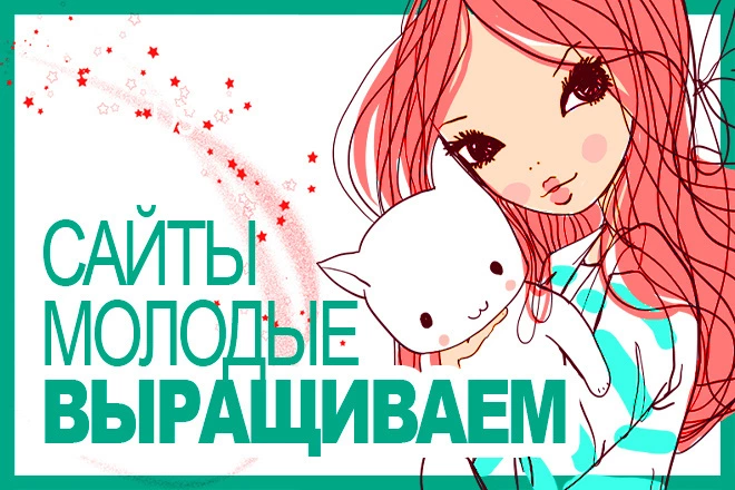 Выращиваем молодые сайты при помощи рекламного трафика и улучшения ПФ - BigBossTraffic